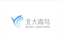 北京高端網站(zhàn)建設公司-北大(dà)青鳥