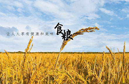 北京高端網站(zhàn)建設公司-國(guó)瑞米業